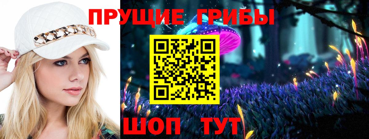 Псилоцибиновые грибы Psilocybe  Вход с VPN  Псилоцибиновые грибы мухоморы  Чайковский 